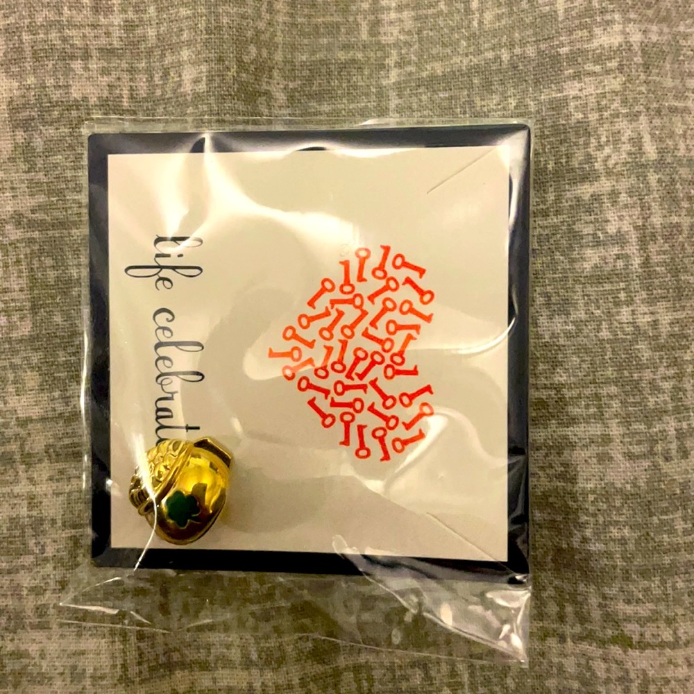 Gold Pot of Gold Charm